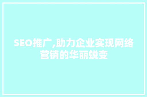 SEO推广,助力企业实现网络营销的华丽蜕变