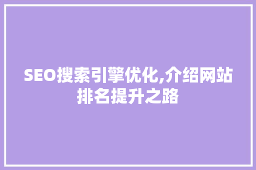 SEO搜索引擎优化,介绍网站排名提升之路