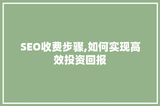SEO收费步骤,如何实现高效投资回报