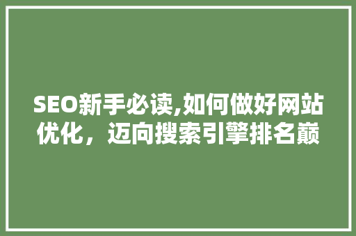SEO新手必读,如何做好网站优化，迈向搜索引擎排名巅峰  第1张