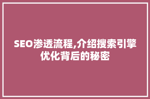 SEO渗透流程,介绍搜索引擎优化背后的秘密