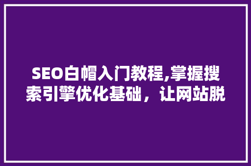 SEO白帽入门教程,掌握搜索引擎优化基础，让网站脱颖而出  第1张