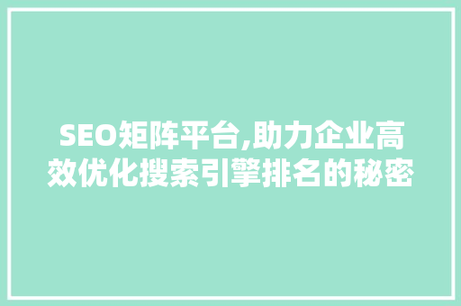 SEO矩阵平台,助力企业高效优化搜索引擎排名的秘密武器  第1张