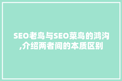 SEO老鸟与SEO菜鸟的鸿沟,介绍两者间的本质区别  第1张