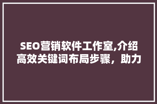 SEO营销软件工作室,介绍高效关键词布局步骤，助力网站优化