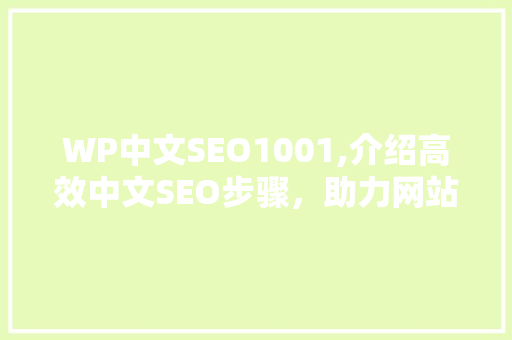 WP中文SEO1001,介绍高效中文SEO步骤，助力网站排名提升