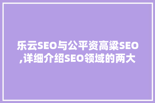 乐云SEO与公平资高粱SEO,详细介绍SEO领域的两大流派  第1张