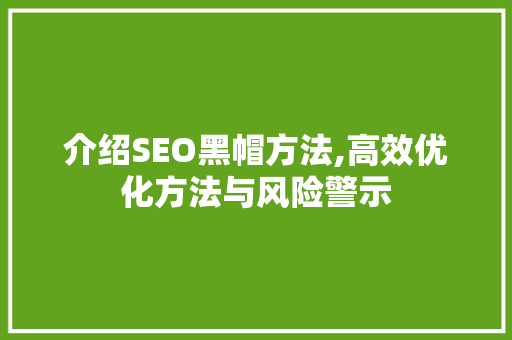介绍SEO黑帽方法,高效优化方法与风险警示