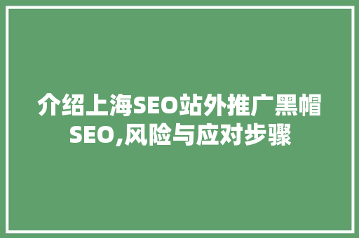 介绍上海SEO站外推广黑帽SEO,风险与应对步骤