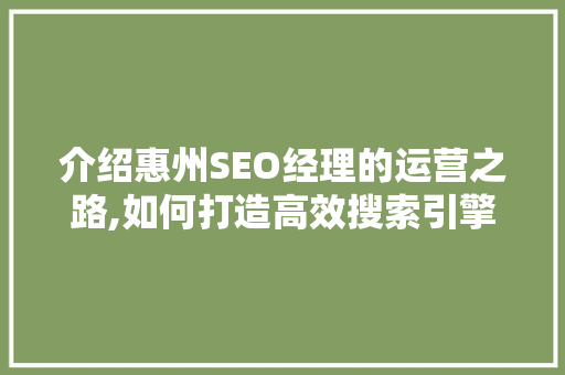 介绍惠州SEO经理的运营之路,如何打造高效搜索引擎优化步骤