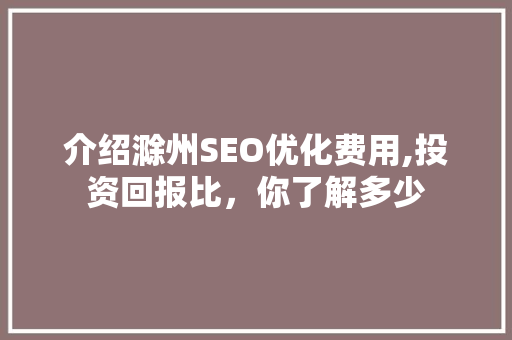介绍滁州SEO优化费用,投资回报比，你了解多少