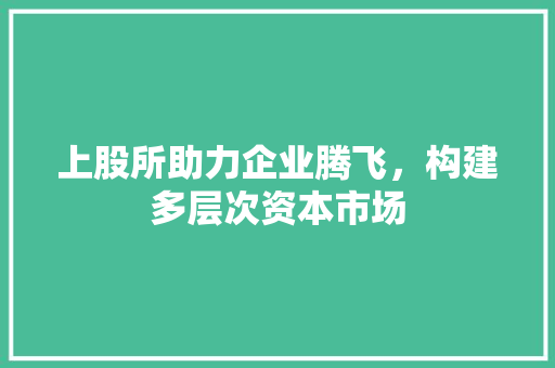 上股所助力企业腾飞，构建多层次资本市场