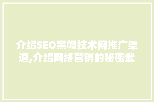 介绍SEO黑帽技术网推广渠道,介绍网络营销的秘密武器