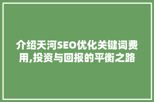 介绍天河SEO优化关键词费用,投资与回报的平衡之路
