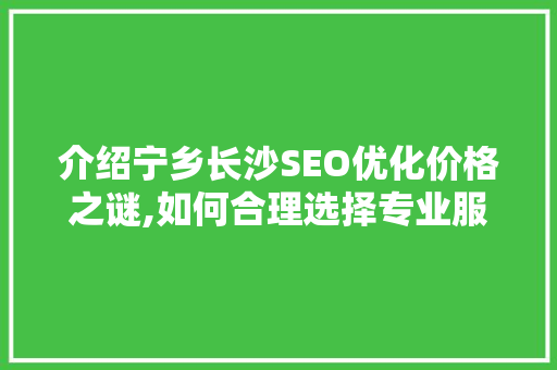 介绍宁乡长沙SEO优化价格之谜,如何合理选择专业服务  第1张