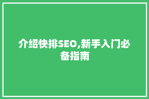 介绍快排SEO,新手入门必备指南