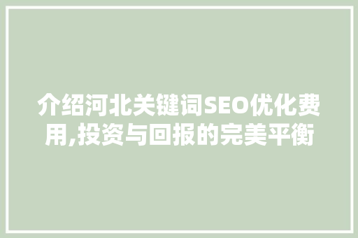 介绍河北关键词SEO优化费用,投资与回报的完美平衡