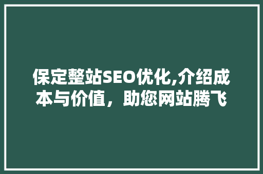 保定整站SEO优化,介绍成本与价值，助您网站腾飞