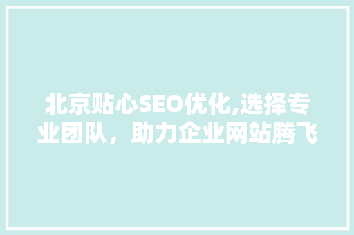 北京贴心SEO优化,选择专业团队，助力企业网站腾飞