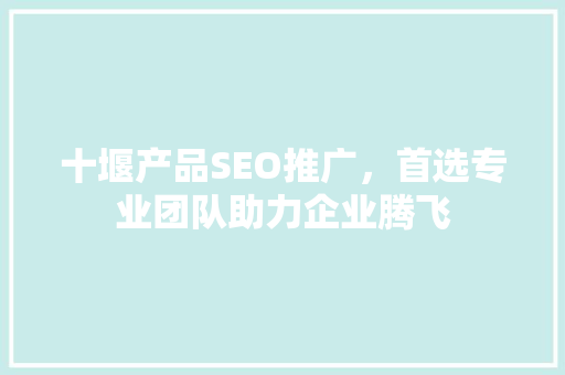 十堰产品SEO推广，首选专业团队助力企业腾飞