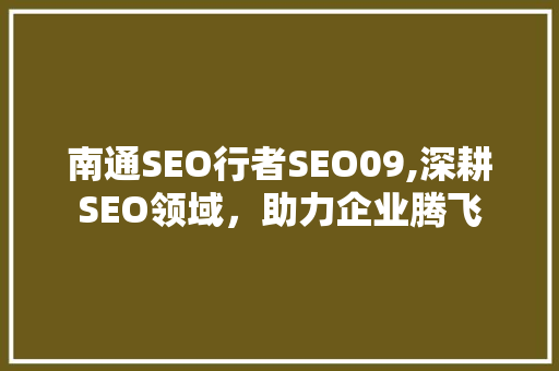 南通SEO行者SEO09,深耕SEO领域，助力企业腾飞  第1张