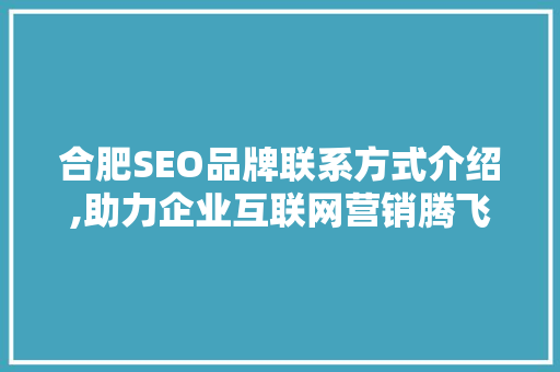 合肥SEO品牌联系方式介绍,助力企业互联网营销腾飞