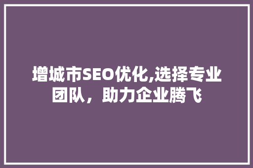 增城市SEO优化,选择专业团队，助力企业腾飞  第1张