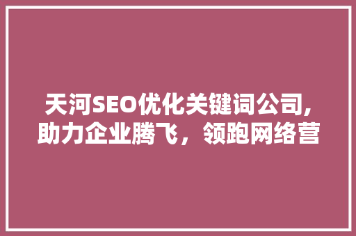 天河SEO优化关键词公司,助力企业腾飞，领跑网络营销新时代