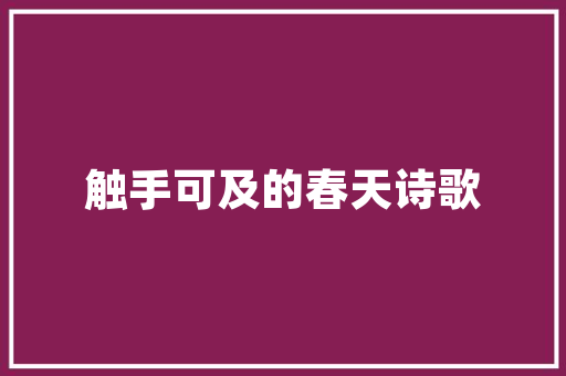 天道酬勤,SEO之路的坚持与智慧_详细介绍唯一SEO网的成功之路  第1张