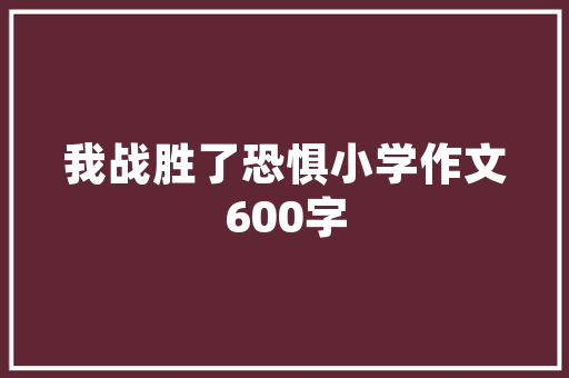 天门电商SEO推广,助力企业腾飞的网络营销利器