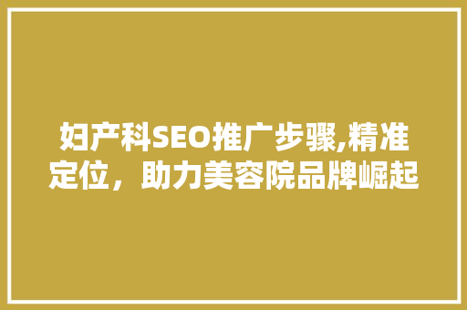 妇产科SEO推广步骤,精准定位，助力美容院品牌崛起