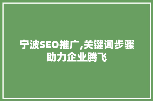 宁波SEO推广,关键词步骤助力企业腾飞
