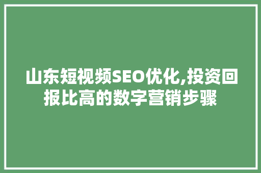 山东短视频SEO优化,投资回报比高的数字营销步骤
