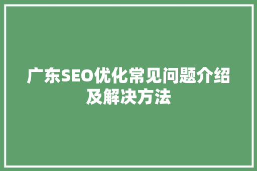 广东SEO优化常见问题介绍及解决方法