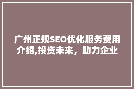广州正规SEO优化服务费用介绍,投资未来，助力企业腾飞
