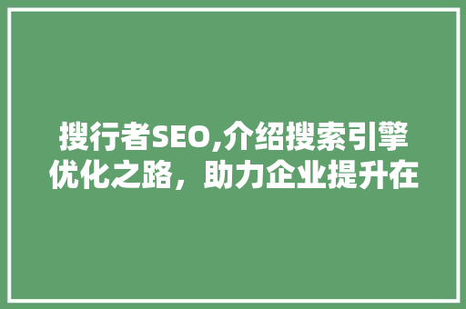搜行者SEO,介绍搜索引擎优化之路，助力企业提升在线竞争力