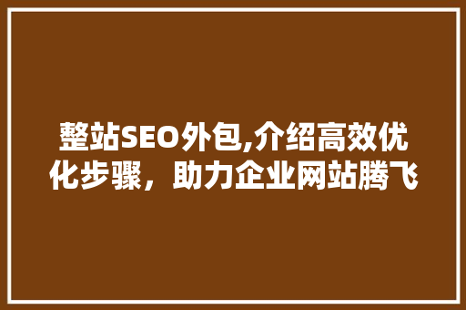 整站SEO外包,介绍高效优化步骤，助力企业网站腾飞