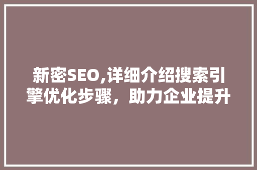 新密SEO,详细介绍搜索引擎优化步骤，助力企业提升网络竞争力