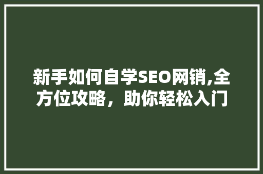 新手如何自学SEO网销,全方位攻略，助你轻松入门