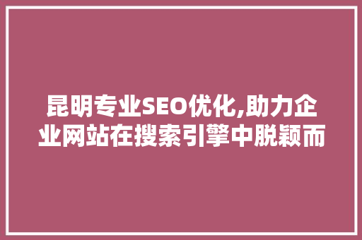 昆明专业SEO优化,助力企业网站在搜索引擎中脱颖而出