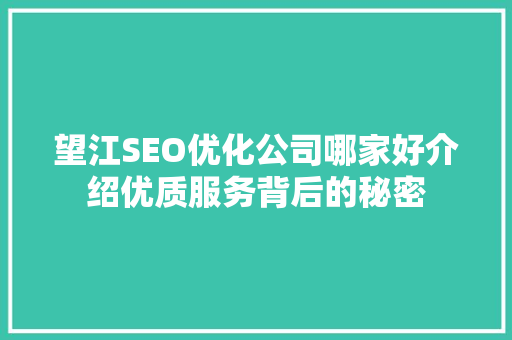 望江SEO优化公司哪家好介绍优质服务背后的秘密
