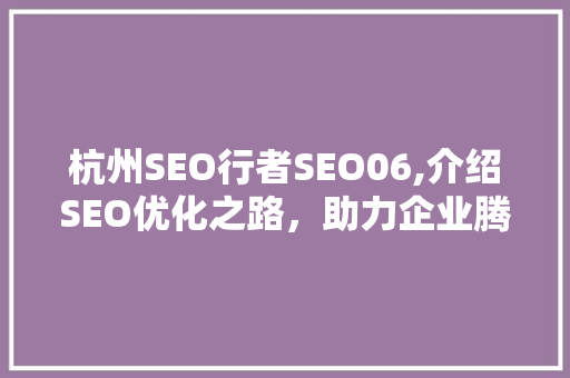 杭州SEO行者SEO06,介绍SEO优化之路，助力企业腾飞