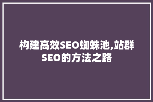 构建高效SEO蜘蛛池,站群SEO的方法之路