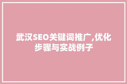 武汉SEO关键词推广,优化步骤与实战例子