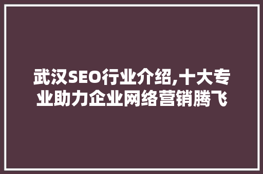 武汉SEO行业介绍,十大专业助力企业网络营销腾飞