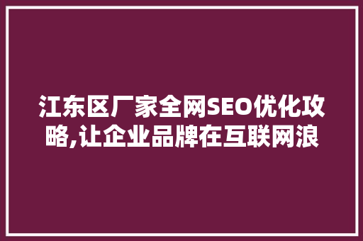 江东区厂家全网SEO优化攻略,让企业品牌在互联网浪潮中脱颖而出