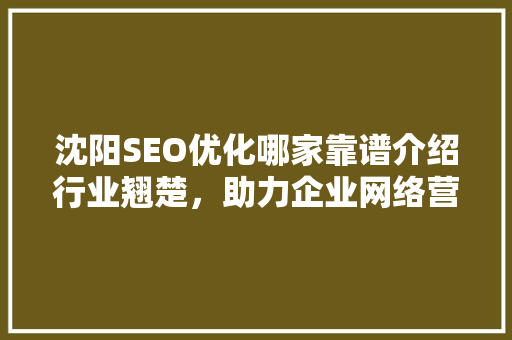 沈阳SEO优化哪家靠谱介绍行业翘楚，助力企业网络营销腾飞