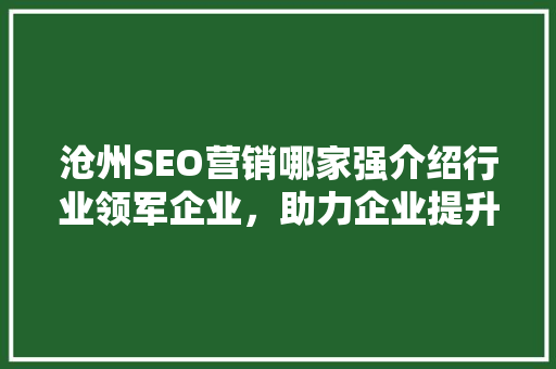 沧州SEO营销哪家强介绍行业领军企业，助力企业提升网络竞争力！