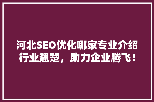 河北SEO优化哪家专业介绍行业翘楚，助力企业腾飞！