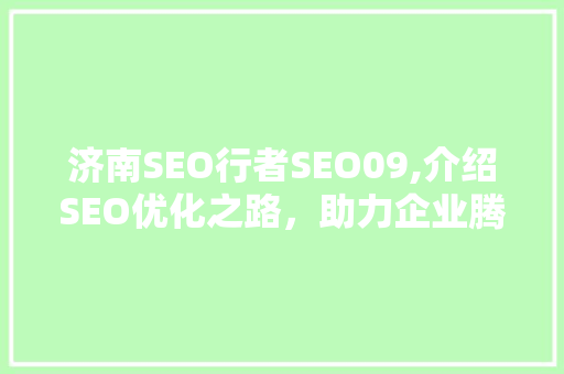 济南SEO行者SEO09,介绍SEO优化之路，助力企业腾飞